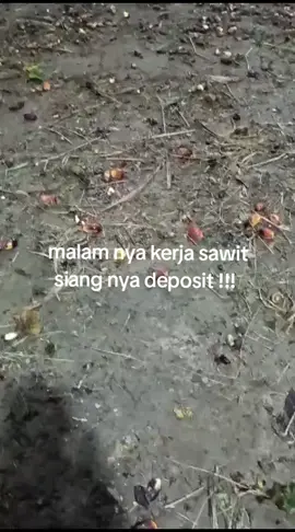 #FYP#pasukan_anti_libur 