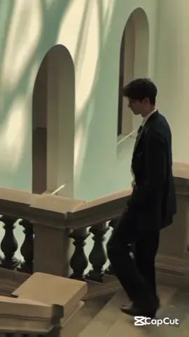 හංස කුමාරයා🦢❤️@cherry minshi #blstory #brokenmirrors #senuka #fyp #viral #viraltiktok #viralvideo #foryou #foryoupage #බිදුණුකැඩපත් #සෙනුකවත්සල්දිසානායක #fypシ゚#sepalika 