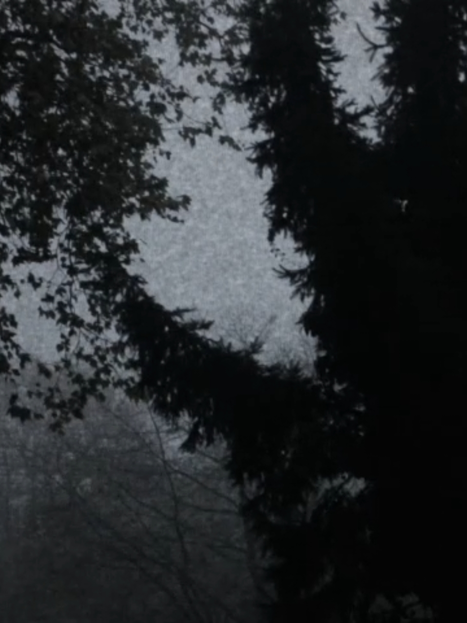 333333333333333333333333333333333333333333333333333333333dz1122511224112231220 #2007 #nostalgia #ambient #nature 