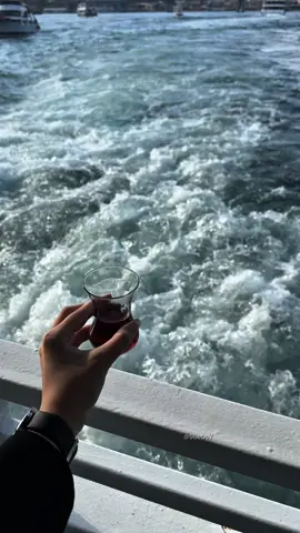 وداعا نوفمبر 🍂🌬️ #الاكسبلور🔥 #تصويري📸 #foryouu #مالي_خلق_احط_هاشتاق #اكسبلوررررررر #4ypage #4yp #عبارات_جميلة #2024 #explorepage✨ #لايك_متابعه 