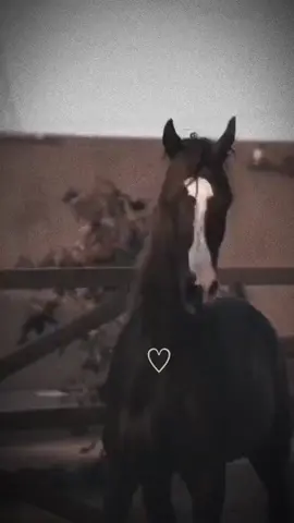 #ftypシ #explore #fyp 