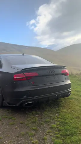 Audi S8- Boat on roids 🚀 M5 CS who  #fyp #audi #s8 #v8 #carsofttiktok 