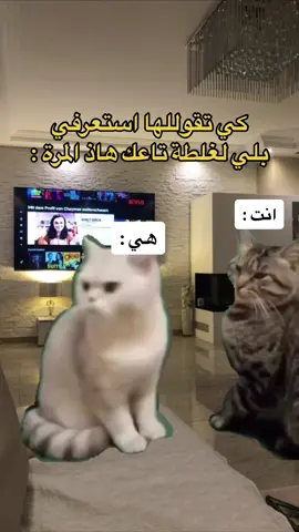 #CapCut #MemeCut #Meme #مالي_خلق_احط_هاشتاقات #اكسبلورexplore #شعب_الصيني_ماله_حل😂😂 #tweetsdz🇩🇿 #fyp #abonné_tchouf_jdid🇩🇿🇲🇦🇹🇳😍 #tweetsdz #tiktoklongs #dzpower #explore #fyppppppppppppppppppppppp #fypage #algeria #dz  @c.oussama.officiel  @c.oussama.officiel 
