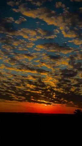 #عبارات_جميلة_وقويه😉🖤 #غروب_الشمس💕✨ #تصوري_احترافي_رايكم_💛💛 #تصوير_السماء☁️💙 #عباراتكم_الفخمه📿📌 #تصويري📸 #للفيديو #تصميمي #fyp #تصميم_فيديوهات🎶🎤🎬 #لايك #اكسبلور #اكسبلورexplore #تعاليقكم_الحلوة #tiktok #مشاهير_تيك_توك #ضيفونيييييييي🙂❤️ #صعدو_الفيديو