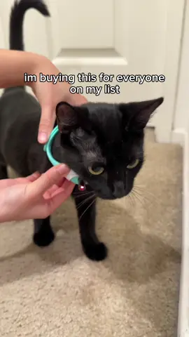 Please be sure to supervise your cat while playing with this, or any other toy!  🔗 Linked in our bio, sale ends soon!  #cats #cattok #viral #tiktok #reels 