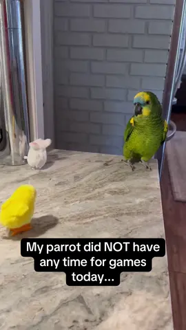 I think she was a bit jealous 🤣 #RoadTo16Million #Pubity  (N via ViralHog)