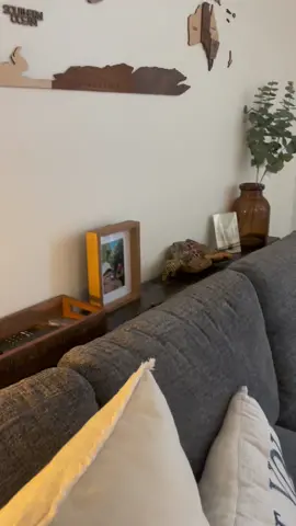 $20 project #sofatable #DIY #behindthesofa #lowes 