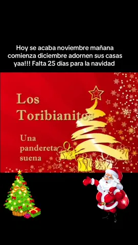 Ya falta pocos dias para navidad!!!#navidad2024 #navidad #niñojesus #adornosnavideños #toribianitos #papanoel 