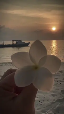 December #quotes #december #zeafather #fyp #CapCut 