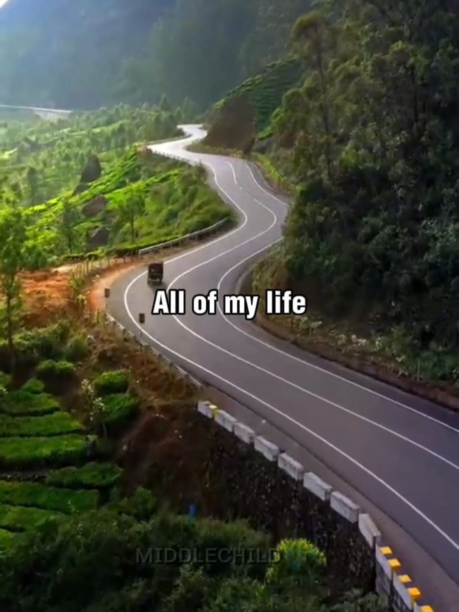 All of my life || Phil Collins 🎶#tiktok #fypシ #goviralvideo #fypシ゚viral🖤tiktok☆♡🦋myvideo #musiclyricsvideos #musiclyrics #musicvideo #fyppppppppppppppppppppppp #foryoupage #trending #goviral 