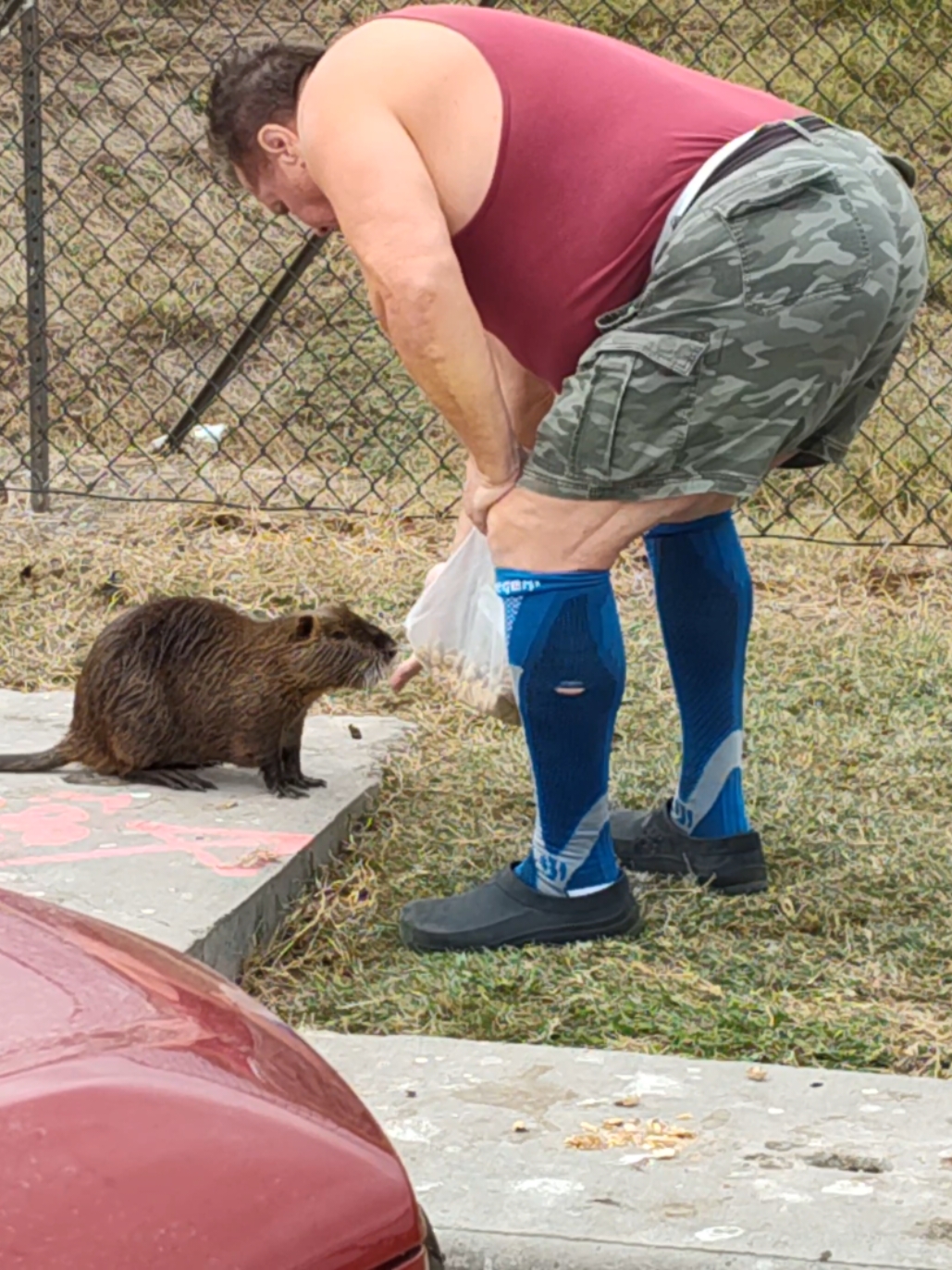 Ratman#Feedingrats#Trex#Ducks#Walmart#Redrum#