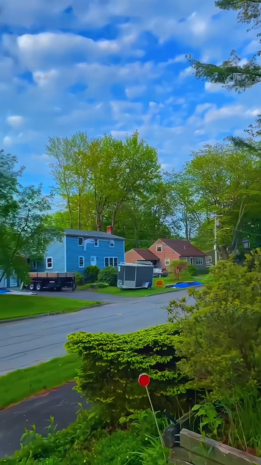 Spring 🌳☀️ #🇺🇸 #usalife #usa #vibes #usavibes #Aesthetic #fyp #foryou #america #americandream #neighborhood #yourdream 
