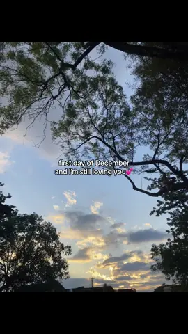 sweet December💕 #fyp #viral #foryou #foryoupage #fypシ゚ #livephoto 