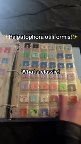 Organizing Palpatophora utiliformus, the most abundant bread clip in my collection :PP I LOVE BREAD CLIPS 😤😤 VISIT HORG.COM #occlupanid #horg #collection 