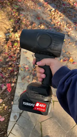 Guess how much I’ll save on Black Friday? Brushless Blower 50 % The best helper for cleaning the yard, a powerful blower! #carblower #gadget #gift #christmas #fyp #drycar #cardetailing #miniblower #airblower #wireless #blower #evaluation #shoptiktok #backtoschool #tiktokfinds #blower #leafblower #outdoortools #outdoorequipment #ad #goodthing #tiktokshop #usa_tiktok #fypシ #blackfriday 