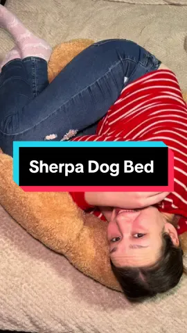 Do you own a dog? 🐶 @Lesure Pet  #fluffy #dogbed #donut #plush #nonslip #indoor #machinewashable #sherpa #donut #doglover #trending #fyp #viral #tiktokmademebuyit #tiktokshopcybermonday #tiktokshopfinds 