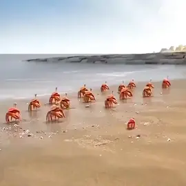 ความสามัคคีคือจุดแข็งและความสำคัญของความร่วมมือ#สปอยการ์ตูน #หนังดีบอกต่อ #สปอยหนังในtiktok 