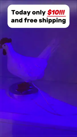 This is for my chicken lovers 🤣 silliest lamp ever 🐓 #chicken #chickenlover #chickenowner #giftidea #gaggift #lamp #sillydecor #roomdecor #tiktokshopblackfriday #tiktokshopcybermonday #ttsdelight #ttsdelightnow #TTSTasteMakers #ttstakeover #treasurefinds #hometok #toptiernovember #giftguide #fyp#foryou #tiktokshop 