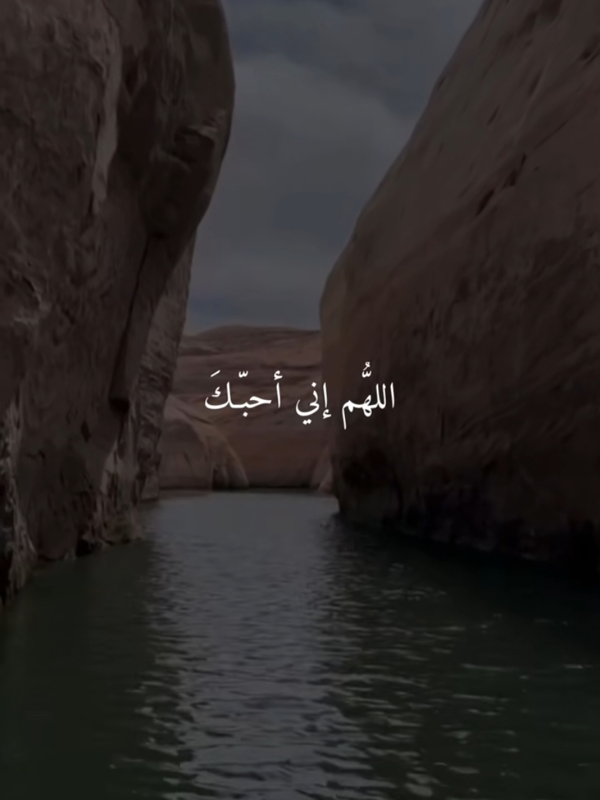 اللهم إني أحبك وإن كنت أعصيك  اللهم لست بريئ فأعتذر  ولا قويا فأنتصر  لكن لا حول ولا قوة إلا بك . الشيخ  صالح المغامسي 