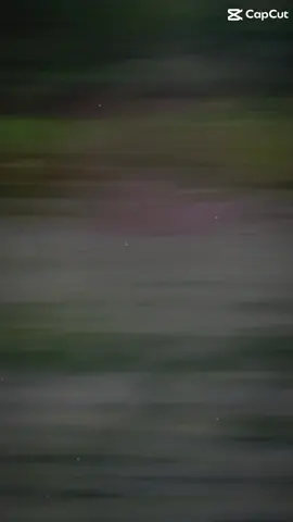 #CapCut mùa thu chỉ có lá vàng còn e chỉ thích có ng quan tâm🤣