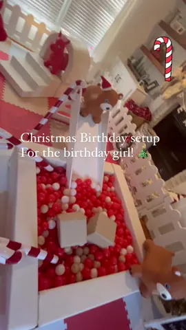 Christmas soft play for a 2nd  birthday! 🎄♥️ The bday girl and family were such a delight to be around! ✨