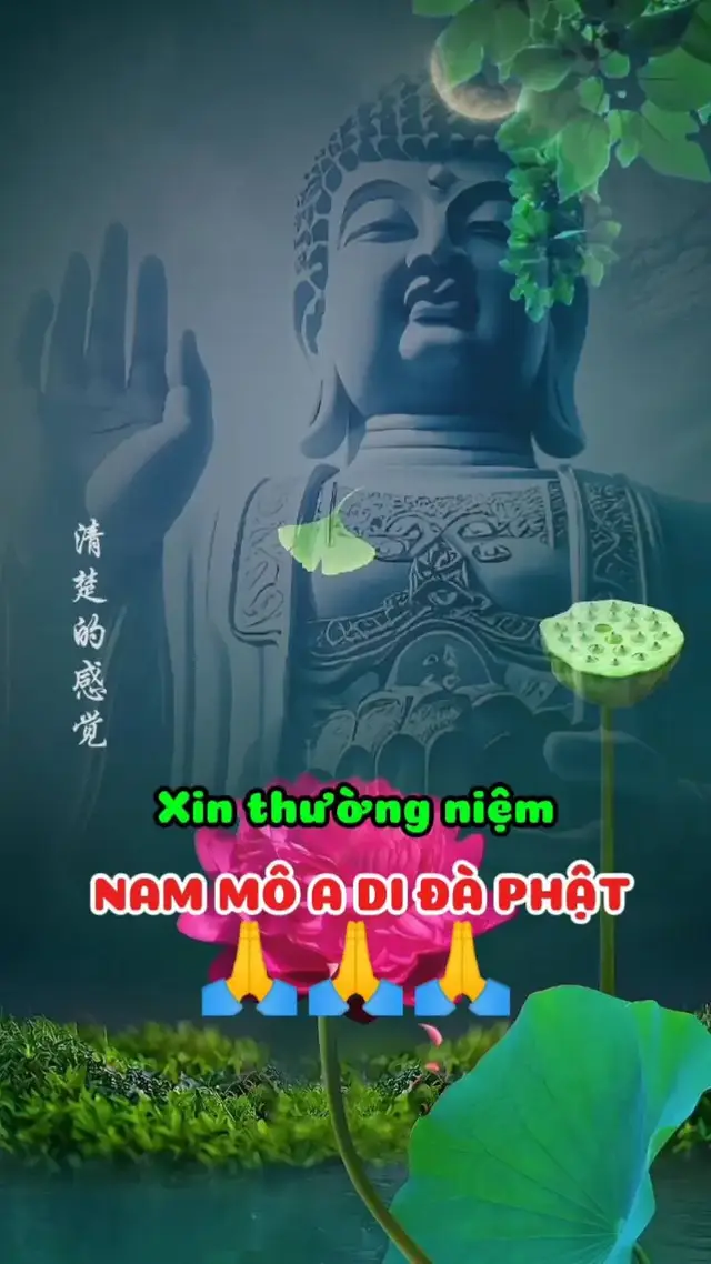 Nam Mô A Di Đà Phật #phatphapnhiemmau #loiphatday #nammoadidaphat #niemphat #niemphatmoingay 