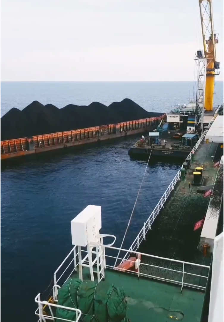 Proses sandar kapal tongkang batubara menuju Mother Vessel Mother vessel adalah kapal pengangkut dengan kapasitas besar yang biasanya mengangkut batubara 50 ribu ton bahkan lebih atau muatan barang lainnya   #batubara #coal #bissmillahfyp #anaktambang #tambangbatubara 