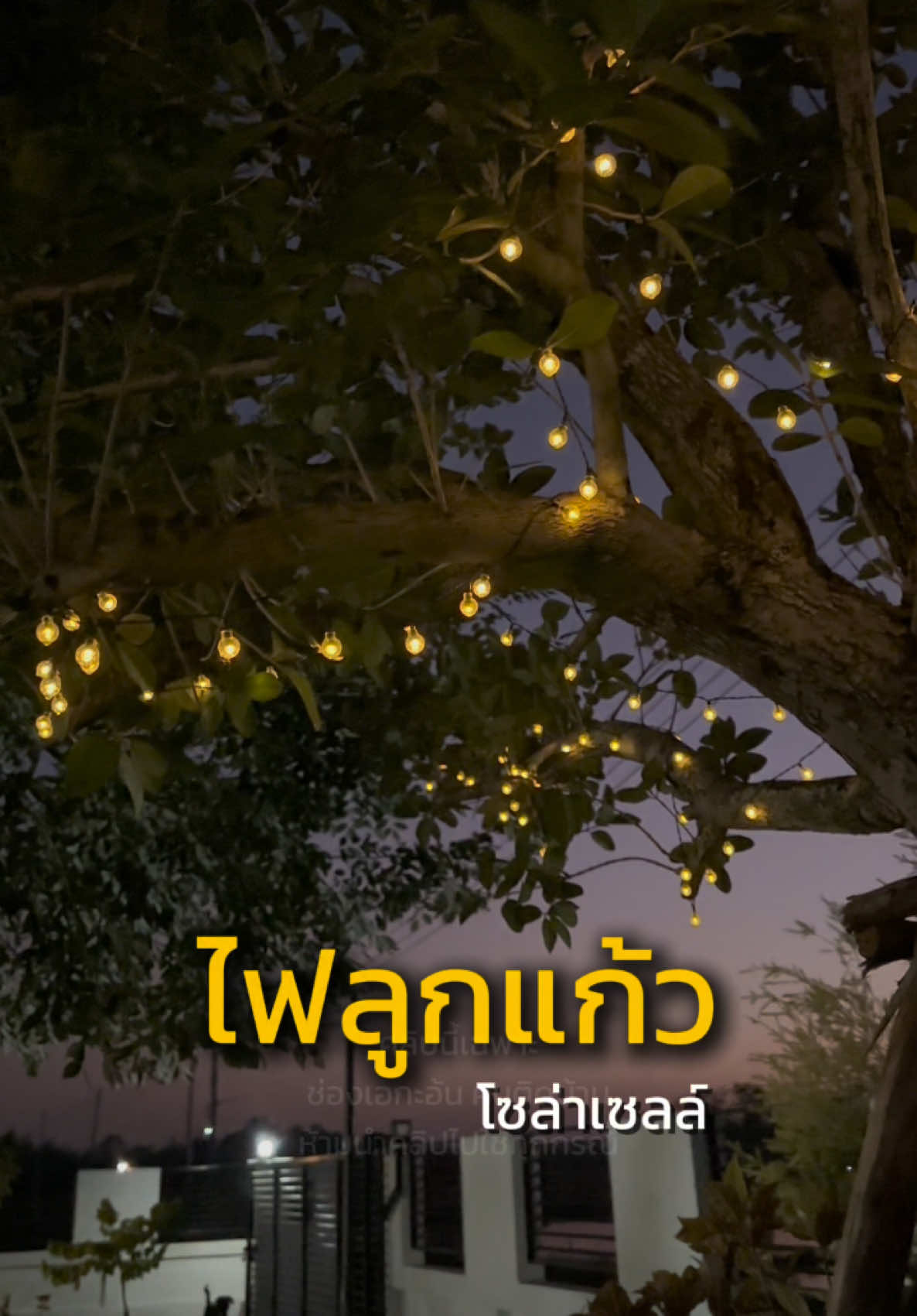 ตอบกลับ @คุณภัทร์ ชอป สวยน่ารักไม่เปลืองค่าไฟด้วยค่ะ 🥰✨ #ไฟลูกแก้ว#ไฟประดับสวน#ไฟแต่งสวนโซล่าเซลล์#ไฟแต่งสวน#ไฟประดับต้นไม้#ไฟประดับโซล่าเซลล์