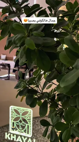 #CapCut #تصميم_فيديوهات🎶🎤جمال كوفي خيال 🎬 #اكسبلور #ساره_لايف_جازان #كوفي_خيال #صبيا 