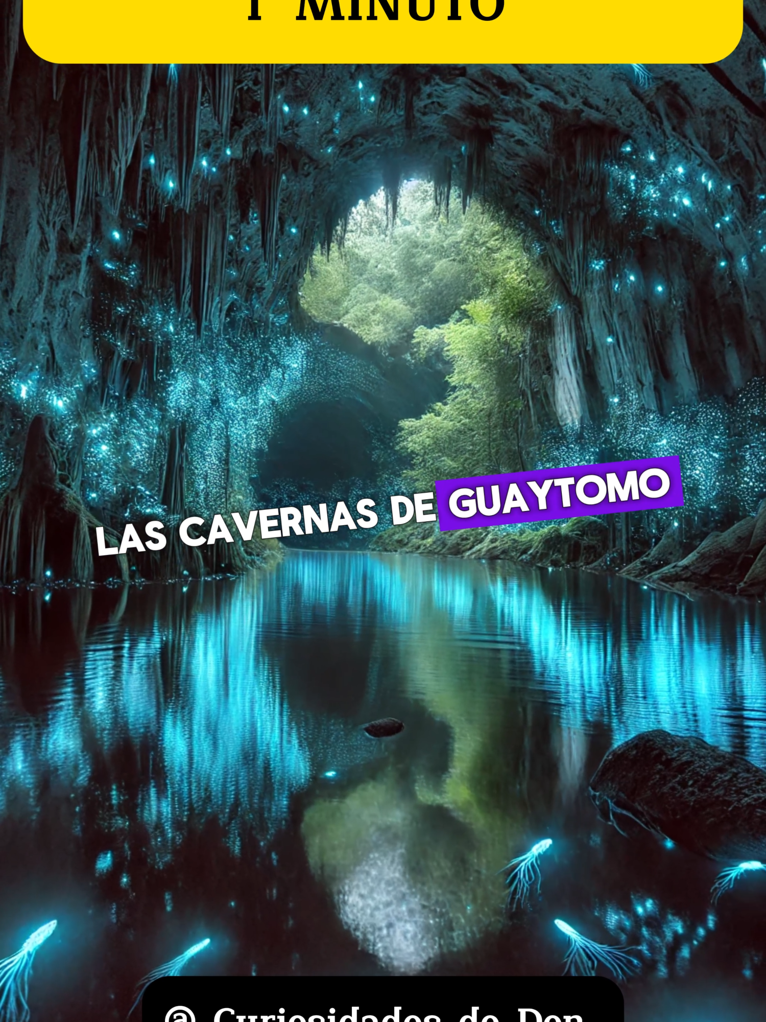 10 datos curiosos en 1 MINUTO 🌎⌚🤓🧠📕##datoscuriosos #educacion #datosinteresantes #tiktokviral #sabiasque? #datosquenosabias #viraltiktok #curiosidades #mx #SabiasQue #paratii #fyp