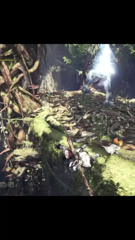 Como siempre mi palico salvando la caceria ##monsterhunter #monsterhunterwilds #monsterhunterworld #monsterhunterrise #videogames #games #game #gamesnotiktok #gaming #memestiktok #edits #edit