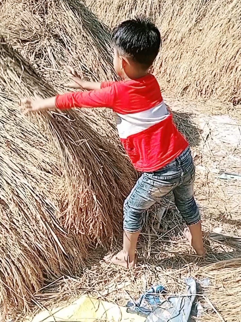 #আমাদের বাড়িতে ধানের কাজ চলতেছে 😇😇😇🤗