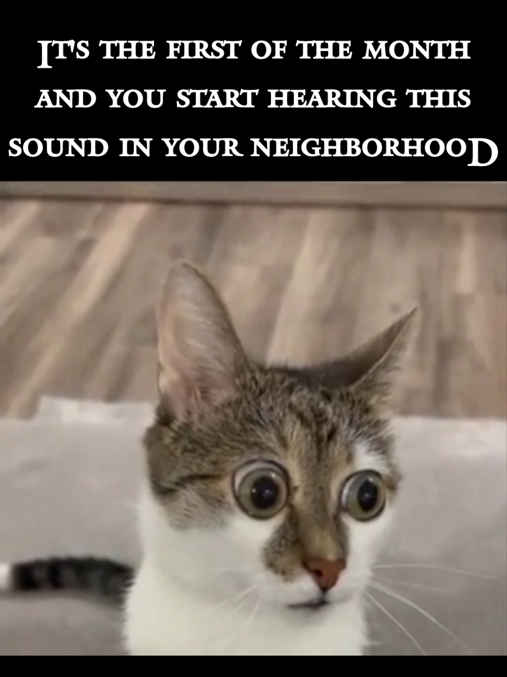 do yuo agree? #singapore #singaporememes #singapore #fypsg #sgfyp #sgmemes 