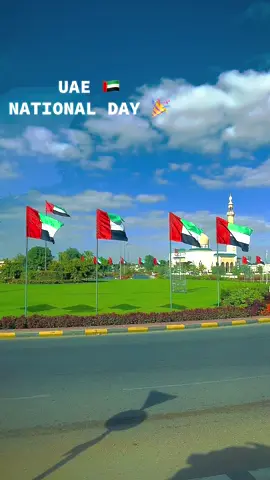 Uae national day 53  #53nationaldayuae🇦🇪  #nationaldayuae🇦🇪 