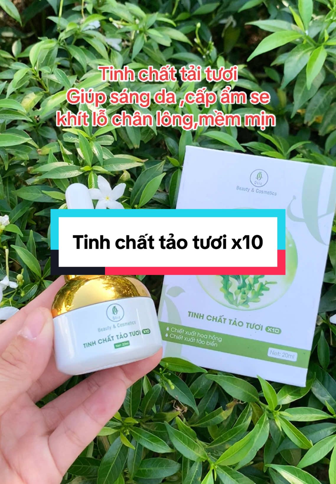 Serum đậm đặc dưỡng da cho mấy nàng #xuhuong #tiepthilienkettikokshop #xaykenhtiktok #tinhchattaotuoiolic #olic 