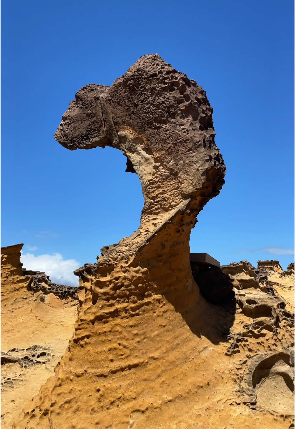 Yehliu Geopark in Taiwan 🇹🇼 #fyp #foryou #foryoupage #Taiwan #Taipei #Yehliu #Geopark #Travel #Klook #Klookph 