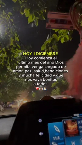 Gracias mi Dios por todo 🙏🏻❤️#fyp #parati #tiktokponmeenparati #foryuopage #frases_tania #1dediciembre #ultimodiadelmes #fypp #apoyo #nomdejenenflop #viral_video #noflop #adiosnoviembre #bienvenidodiciembre #GraciasmiDios #TeamoDios #Viral @TikTok ✌🏻✨