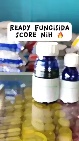 Fungisida Score 250 ML