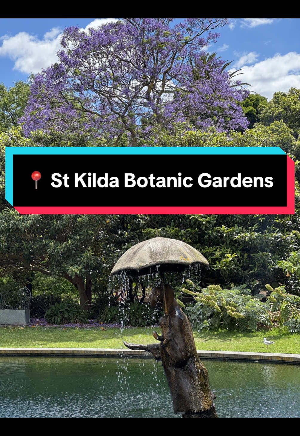 📍 11 Herbert St, St Kilda  The perfect escape from the hustle and bustle. Let the kids explore the playground, and visit the charming conservatory. Whether you’re looking to unwind or enjoy a quiet family outing, these gardens are a must-visit in St Kilda! #stkildabotanicalgardens #melbourneparks #hiddenmelbournegems #familydaysout #natureplay #thingstodoinstkilda #exploremelbourne #Melbourne #todomelbourne #exploremelbourne #melbournewithkids #explorevictoria #summerinmelbourne #firstofthemonth #australianwildlife  #melbournemums #daytripmelbourne #melbournehotspots   #creatorsearchinsights 