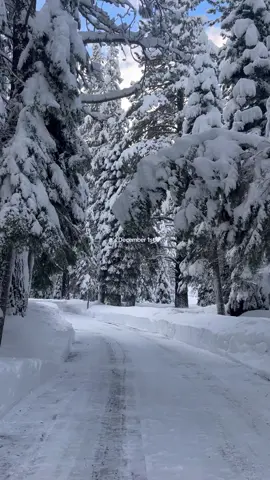 She’s defrosting🤍 #fyp #fypシ #contentcreator #Lifestyle #ugc #christmas #christiantiktok #december #december1st 