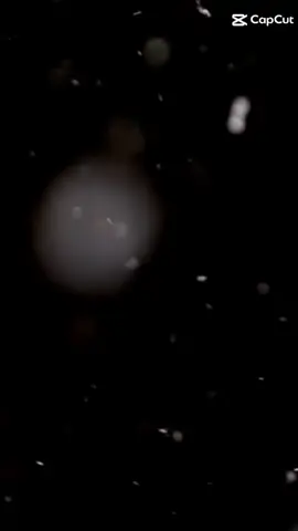 #отдуши💞💞💞💞💞 #словасосмыслом #мужчинаженщина #отношения 