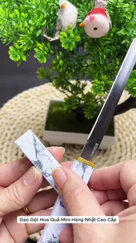 dao nhỏ gọt qua quả tiện dụng 