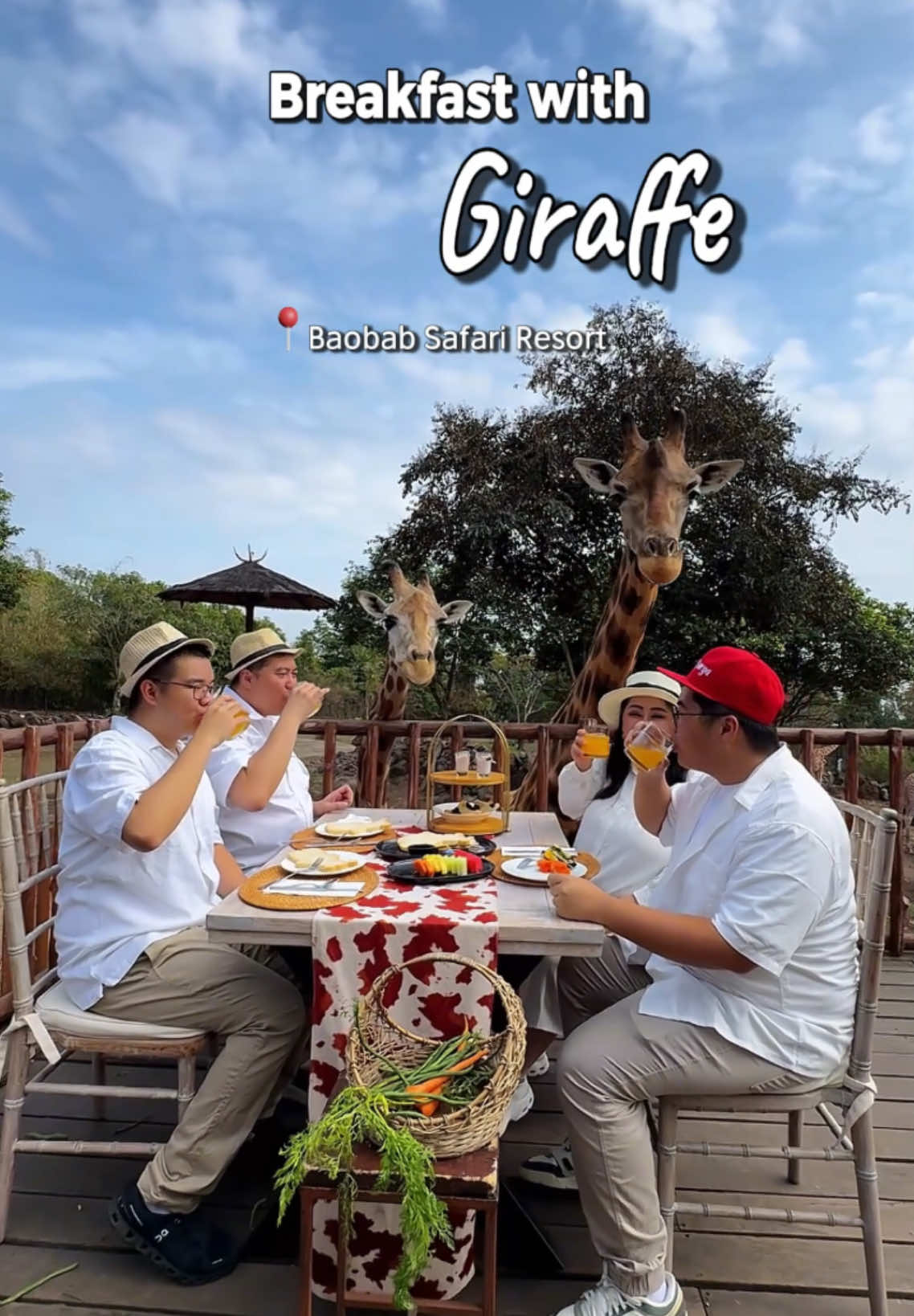 Makan bareng jerapah di @BAOBAB SAFARI RESORT @Taman Safari Prigen Jawa Timur #fyp #viralvideo #holiday #fun #family #giraffe #breakfast #traveltiktok #traveling 