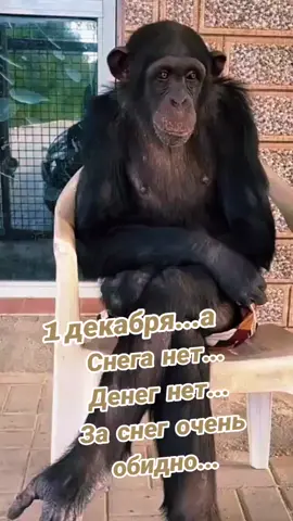 #юмор #позитивчикдлянастроения😜 #декабрь 