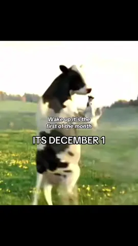 ITS DECEMBER 1ST WAKE UPPO #fyp #trend #1stofthemonth #firstofthemonth #cow #dancingcow #fyp #december #december1 