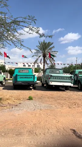 احبك يا وطن 🇦🇪♥️🇦🇪#alain #الكعبي #اماراتي🇦🇪 #viral #fyp #foryou #foryoupage #tiktok #trending #capcut 