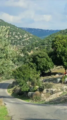 #موسيقى_لقيت_الدار #لقيت_الدار_من_بعد_الحبايب #ميحد #تصويري #تصويري_احترافي_الاجواء👌🏻🕊😴 