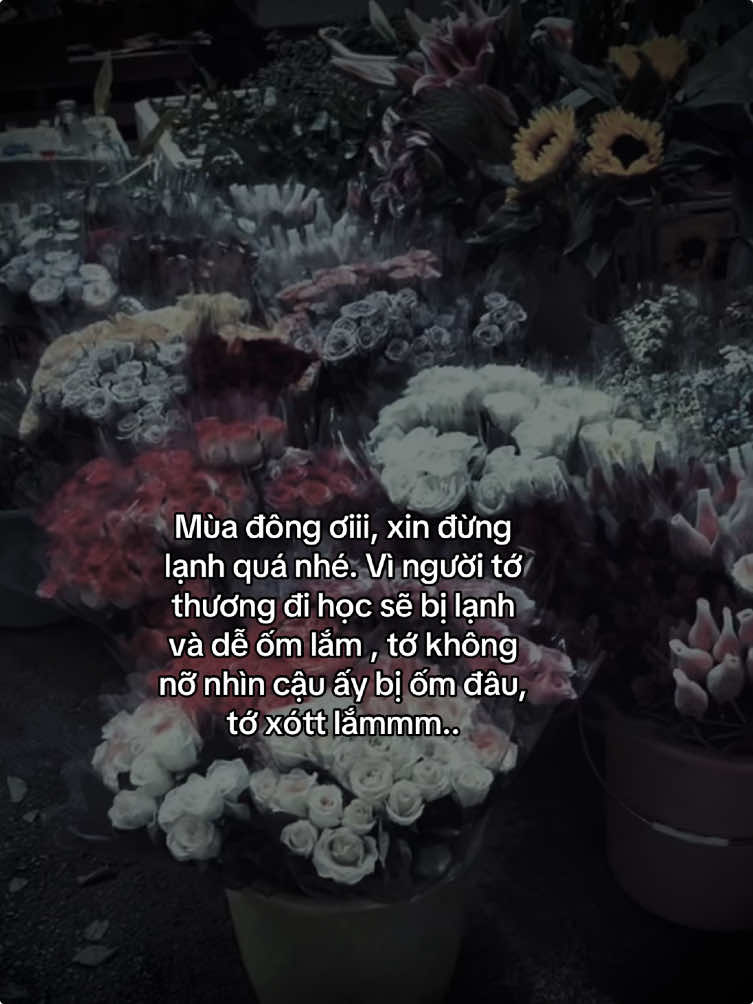 tớ xóttt lamm#tamtrang #xh #chill #xuhuong #Love #duet 