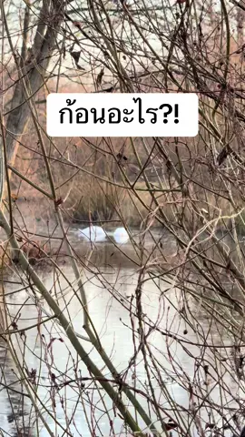 ใครทายได้ ก้อนอะไรเอ่ย #ป้ายุ้ยเดนมาร์ก #เรื่องเล่าจากเดนมาร์ก #เล่าสู่กันฟัง #