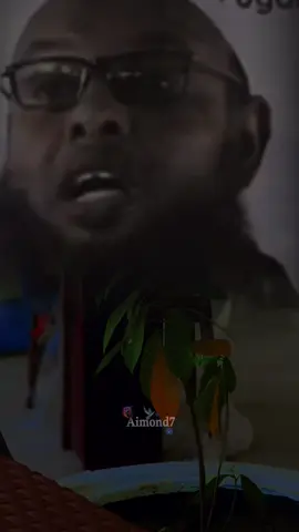 Sheikhow hadaana maba ila heshiihayso😂😂😜🤣👌#aimond7 #amaantabeenta #sheikhxaliike #dhiirogalin❤ #qosolkaaduunka😂😂😂 